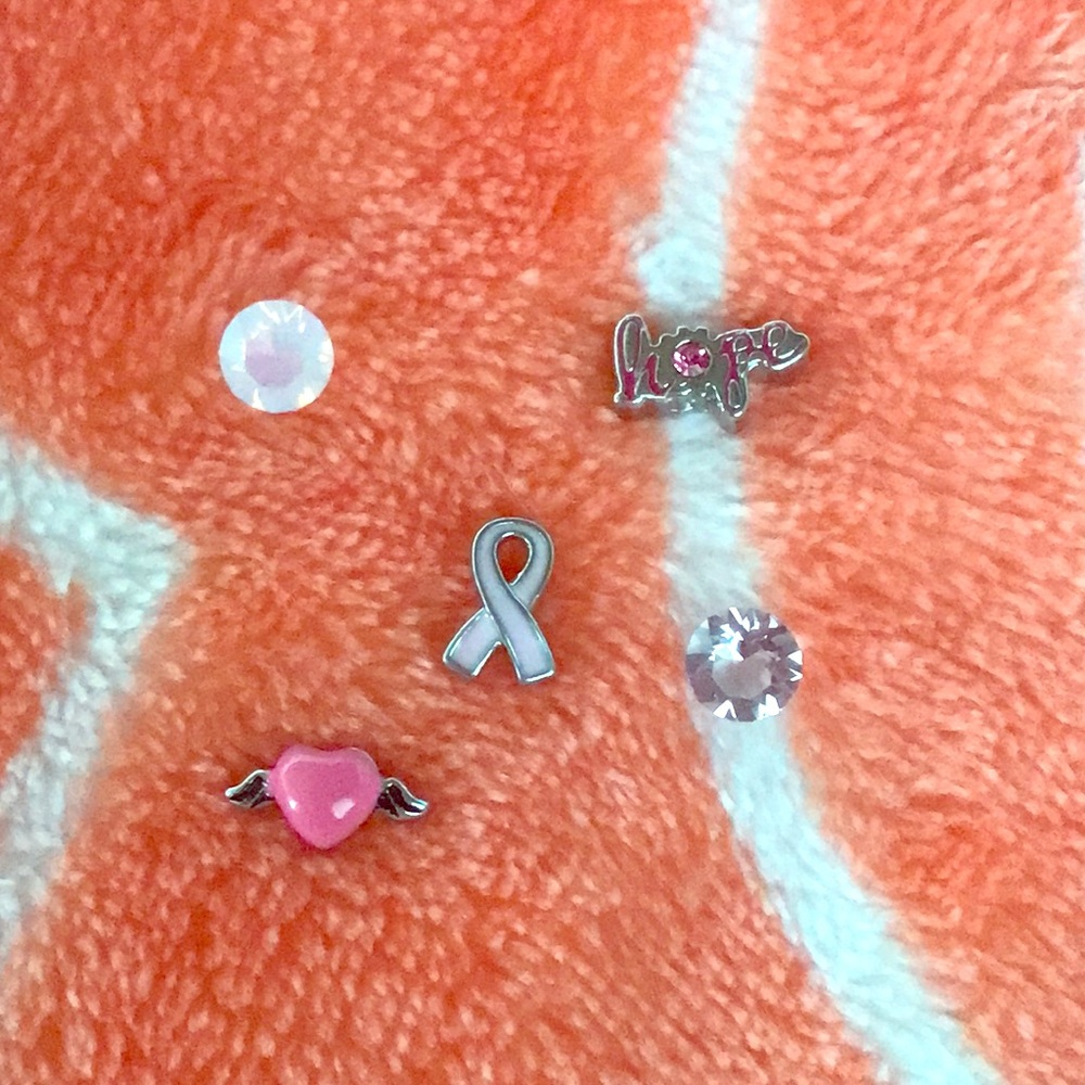 Breast Cancer Theme Charm Set NEW!